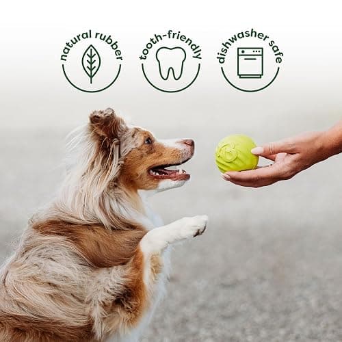 Benebone 4-Pack Ball/Bone/Bacon Wishbone/Fishbone Medium thumbnail 3