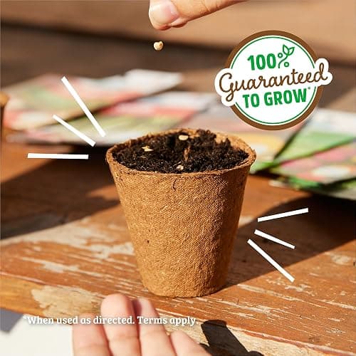 Back to the Roots Heirloom Organic, Non-GMO & USA Grown Seeds, 30ct Herb, Fruit, and Veggies, Assortment May Vary, Guaranteed to Grow thumbnail 6