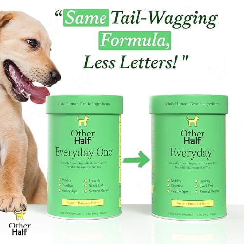 Other Half Everyday - Dog Multivitamin Supplement - Daily Joint, Gut, Allergy, Immune, Urinary Tract Support, Skin, Coat & More - Glucosamine, Chondroitin, Omega 3 & Probiotics | 45 Active Ingredients thumbnail 8