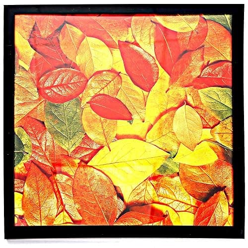 Medog 11x11 Picture Frame for Wall, Display Pictures 11x11 Square Record Album Frame, Wall Hanging Photo Frame, Black, 1 Pack thumbnail 4