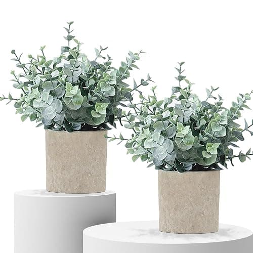 MIXROSE 2 Pack Fake Plants Eucalyptus Small Potted Artificial Plants Indoor Greenery for Shelf Desk Home Bathroom Modern Farmhouse Living Room Coffee Table Decor - Image 1