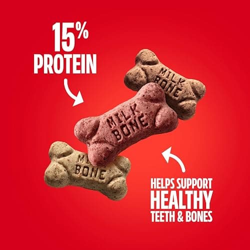 Milk-Bone Flavor Snacks Mini’s Dog Biscuits, Flavored Crunchy Dog Treats, 36 Oz. Canister thumbnail 4