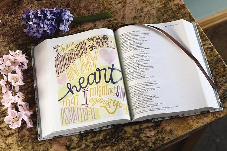 NIV, Beautiful Word Bible, Updated Edition, Journal Edition for Women, 600+ Full-Color Illustrated Verses, Peel/Stick Bible Tabs, Floral Cloth over Board, Red Letter, Comfort Print thumbnail 10