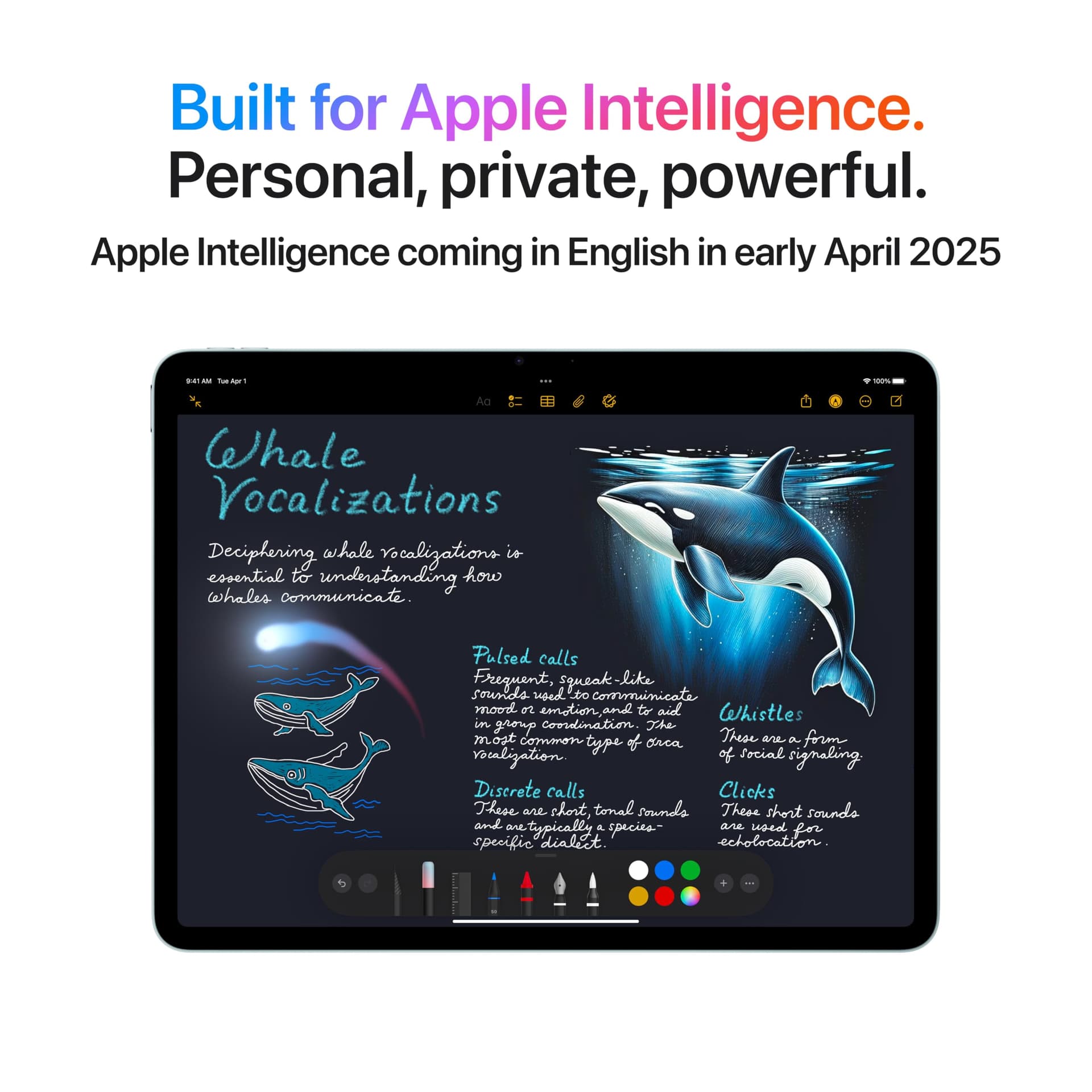 Ipad Air thumbnail 3