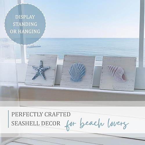 Tide and Tales 3D Beach Wall Art - Seashell with Starfish for Coastal Bathroom Decor, Ocean Inspired Decor for Bathroom, Coastal Bedroom, Living Room or Beach House, Set of 3 (6”x 6”) thumbnail 8