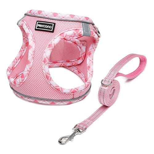 Mercano Soft Mesh Dog Harness and Leash Set, No-Chock Step-in Reflective Breathable Lightweight Easy Walk Vest Harnesses with Safety Buckle for Small Dogs, Cats (Pink, S) - Image 1