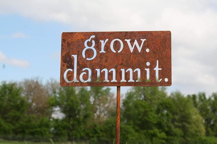 Grow. Dammit. Metal Garden Stake 20 to 28 Inches Tall (Small 20", Naturally Rusted) thumbnail 9