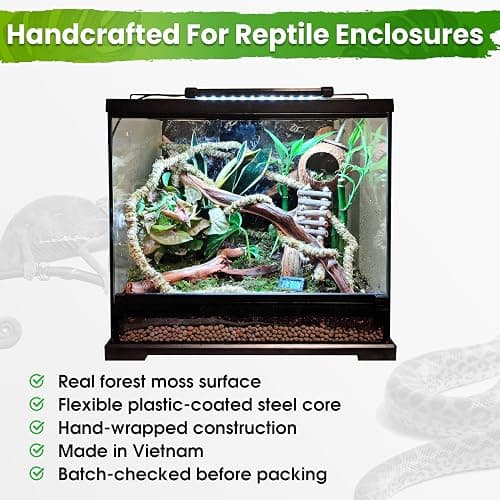 Duspro 6.5FT Reptile Vine & Moss Set for Climbing Bendable Branch, Natural Moss Rope Jungle Decor for Bearded Dragon, Chameleon Tank Accessories, Snake Gecko Lizard Terrarium thumbnail 6
