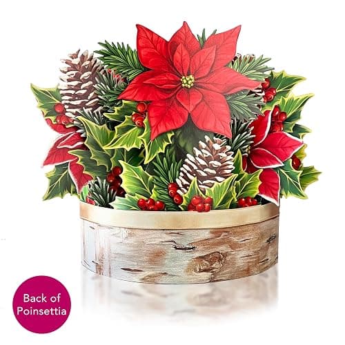 Freshcut Paper Pop Up Cards, Birch Poinsettia, 10 Inch Life Sized Forever Flower Bouquet 3D Popup Greeting Cards, Christmas Card, Holiday Card, Blank Notecard & Envelope - Birch Poinsettia thumbnail 8