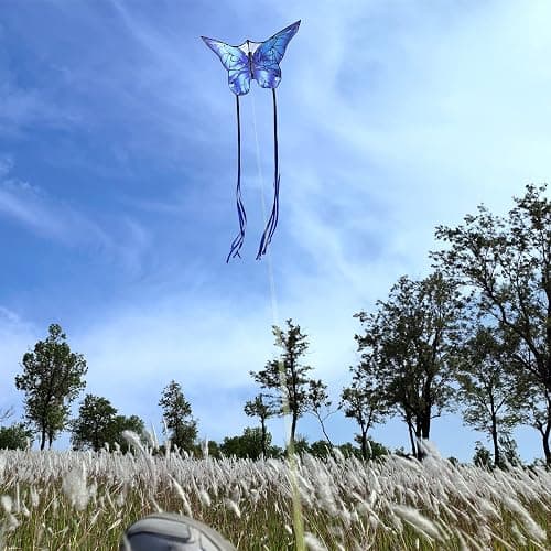 Kaiciuss Butterfly Kites for Kids and Adults, Easy to Fly Large Single Line Kite for Boys and Girls - 55" x 28" Beach Kite for Beginners, 300ft String Handle Included thumbnail 2