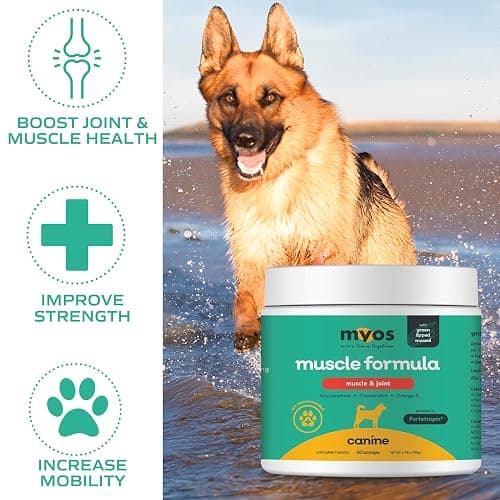 MYOS Muscle & Joint Powered by Fortetropin with Green Lipped Mussel (198 gr) thumbnail 4