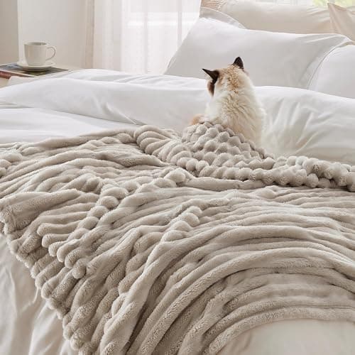 Bedsure Twin XL Blanket for Couch - GentleSoft Cozy Soft Blankets for Women, Cute Small Fleece Throws for Girls, Linen, 66x90 Inches - Linen - Twin XL (66" x 90") thumbnail 5