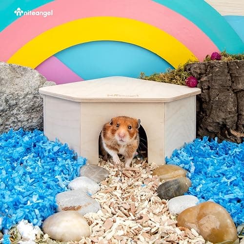 Niteangel Birch Chamber-Maze Hamster Hideout - Small Pets Woodland House Habitats Decor for Hamster Mice Gerbils Mouse thumbnail 2