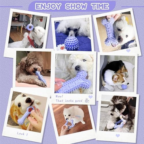 Petcare 6 Pack Puppy Teething Toys, Cute Purple Small Dog Chew Toys for Puppies 0-6 Months, Soft Rubber Rope Dog Teething Toys, Best Small Puppy Toys, Puppy Essentials Supplies thumbnail 8