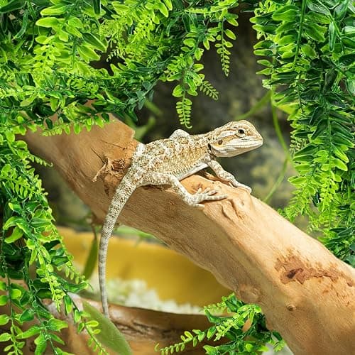 QUOZUO 2 Pack Reptile Plants Terrarium Hanging Plant Artificial Leaves Reptile Hide with Suction Cup, Reptile Tank Accessories for Bearded Dragon Lizard Snake Geckos Chameleon thumbnail 6