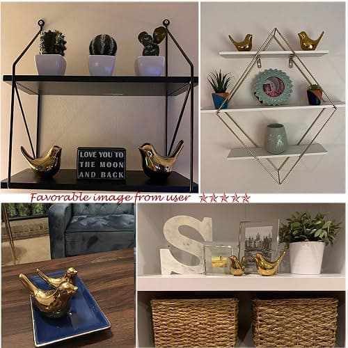 FANTESTICRYAN Small Birds Statues Gold Home Decor Modern Style Figurine Decorative Ornaments for Living Room, Bedroom, Office Desktop, Cabinets thumbnail 7