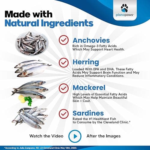Omega 3 Fish Oil for Dogs - Better Than Salmon Oil - Dog Fish Oil Supplement to Reduce Shedding & Itching - Supports Joints, Brain, and Heart Health - Skin and Coat Supplement - Liquid Fish Oil thumbnail 6