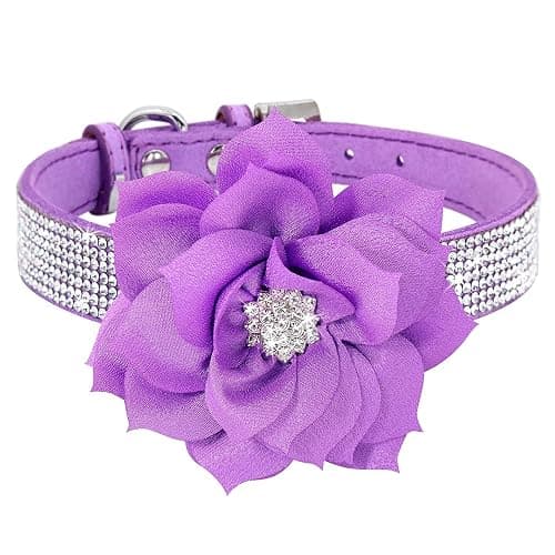 Pimaodog Cute Dazzling Sparkling Elegant Fancy Soft Suede Leather Bling Rhinestone Crystal Jeweled Pet Cat Dog Puppy Collar Dog Leash Combo Set (XXS(Neck 6-8"), Purple-6) thumbnail 3