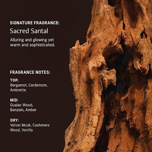 CYKLAR Sensorial Body Wash. Sacred Santal Hydrating Cleanser with Moisture Locking Multi-Oil Complex, Sodium PCA and Glycerin. Nourishing Shower Gel for Women and Men, 16.5 Fl Oz Luxury Bodywash thumbnail 4