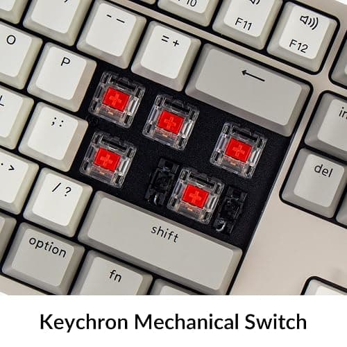 Keychron C2 Full Size Wired Mechanical Keyboard Compatible with Mac, Keychron Red Switch, 104 Keys ABS Retro Color Keycaps Gaming Keyboard for Windows, USB-C Type-C Braid Cable thumbnail 4
