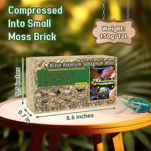 Riare 5.3oz Natural Sphagnum Moss for Reptiles- 6QT Terrarium Reptiles Moss | Moisture Retention, Dried Terrarium Moss Bedding for Lepard Gecko Snakes Turtles Frogs Jumping Spiders Humid Hide Setup thumbnail 2