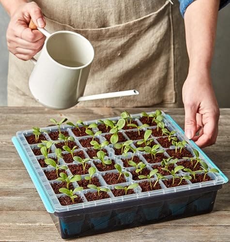 Burpee SuperSeed Seed Starting Tray | 36 Cell Reusable Seed Starter Tray | for Starting Vegetable, Flower & Herb Seeds | Indoor Grow Kit for Plant Seedlings | for Germination Success thumbnail 10