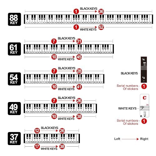 Piano Keyboard Stickers for 88/61/54/49/37 Key, Bold Large Letter Piano Stickers for Learning, Removable Piano Keyboard Letters, Notes Label for Beginners and Kids, Multicolor thumbnail 3