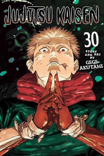 Jujutsu Kaisen, Vol. 30 - Image 1