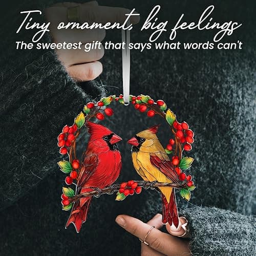 AXIARA Sympathy Gifts for Loss of Loved One - Two Layer Wooden Cardinal Christmas Ornaments 2025 - Cardinal Gifts for Women Men, Bereavement Memorial Gift Ideas, Cardinals for Christmas Decorations thumbnail 6