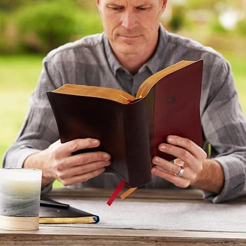 NKJV, Spirit-Filled Life Bible, Third Edition, Leathersoft, Burgundy, Red Letter, Comfort Print: Kingdom Equipping Through the Power of the Word thumbnail 14