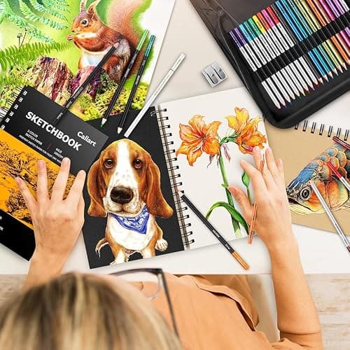 Caliart 176PCS Art Supplies Sketching Kit, 100 Sheets 3-Color Sketch Book | Graphite Colored Charcoal Watercolor & Metallic Pencils, Drawing Supplies Set Gifts for Artists Adults Teens Girls Boys Kids thumbnail 2