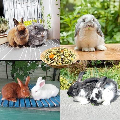 Jiaxix 30 Pcs Disposable Palm Leaf Bowls 4 inch Bowl for Rabbits, Compostable Like Bamboo Bowls Disposable Bowl Bunny Chew Toys Chewable Dish for Rabbits & Bunnies,Small Pets thumbnail 7