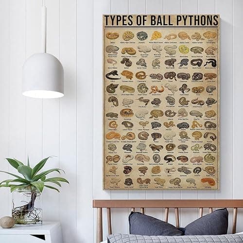 AMZPOSTERLN Vintage Snake Breeds Poster Knowledge Canvas Art Aesthetic And Wall Art Picture Decor Poster12x18inch(30x45cm) thumbnail 5