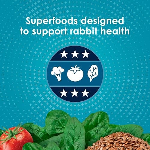 Kaytee Forti-Diet Pro Health Nourish+Protect Adult Rabbit Food, Comprehensive Nutrition Backed by Science, Digestive Health, Immune Support, 5 pounds thumbnail 4