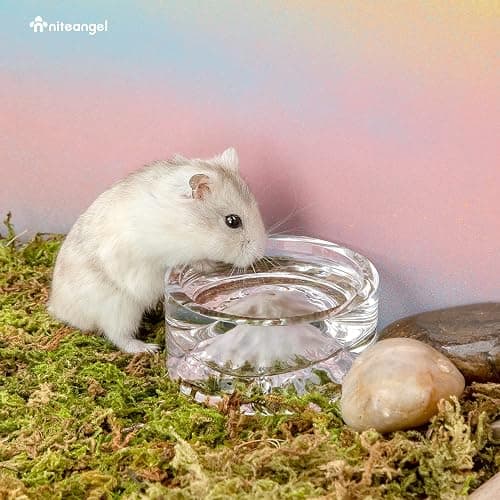 Niteangel Hamster Feeding & Water Bowl: - Mount Fuji Series Glass Drinking Bowls for Dwarf Syrian Hamsters Gerbils Mice Rats or Other Similar-Sized Small Pets (White, 50 ml) thumbnail 3