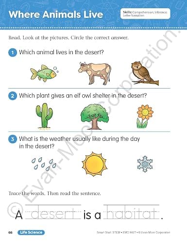 Evan-Moor Smart Start STEM Workbook, Grade 1, Science, Technology, Engineering, Math, Hands On Activities, Problem Solving, Critical Thinking, Fine Motor Skills, Sequencing, Animals, Homeschool thumbnail 6