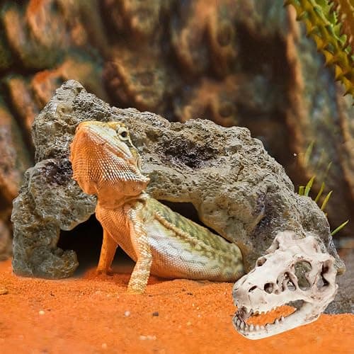 Anxingo Reptile Rock Reptile Cave Hideout for Snakes/Geckos/Lizards/Turtles and Other Amphibians, with Dinosaur Skull (Small) thumbnail 7