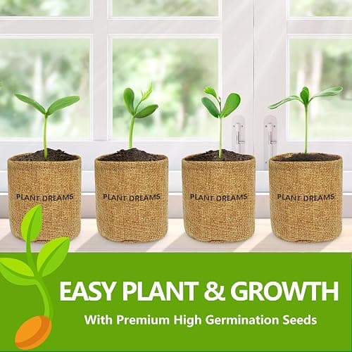 Bonsai Tree Kit, Bonsai Starter Kit with Seeds & Tools, Tree Live Plants Indoor, Gardening Gifts for Women Men Mom Father Plant Lover, Birthday Thanksgiving Christmas Gifts thumbnail 5