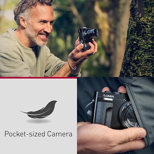 Panasonic LUMIX ZS99 Point and Shoot Camera, Compact Camera for Travel with 30x Zoom with 24-720mm Zoom Lens, and 4K Video/Photo, Great for Travel and Concerts, DC-ZS99 thumbnail 2