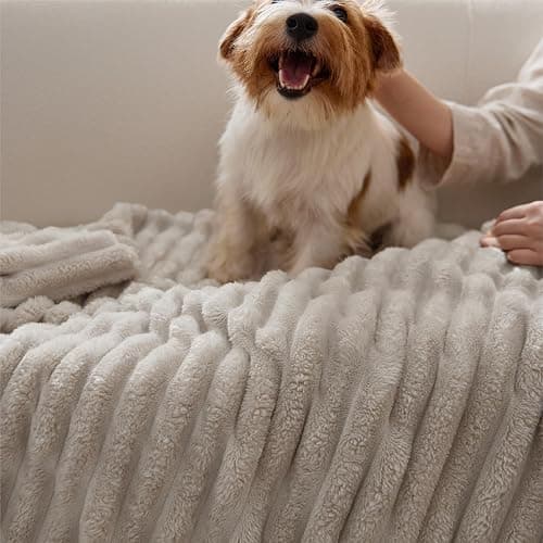 Bedsure Bedroom Decor Home Linen Throw Blanket Gifts for Women Men, Soft Fluffy Fleece Cozy Fuzzy Plush Warm Minky Couch Bed Blanket, Living Room Spring Decor Beige Gifts for Him Her, 50x60 thumbnail 8