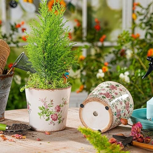 Sungmor Vintage Ceramic Planter Set of 2 - Decorative Indoor & Outdoor Flower Pots with Drainage Holes - Tuscan Décor Pots, 5.5" Ice Crackle Glaze Planters for Home, Kitchen, Patio, and Garden thumbnail 5