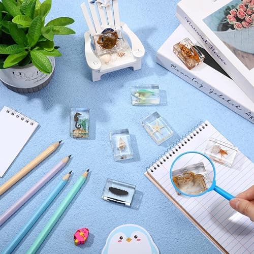 Rotatingpals 9 Pcs Marine Ocean Life Specimen Set Term Begins for Gifts Sea Animal Insect in Resin Collection Paperweights with Magnifier Animal Specimen thumbnail 5
