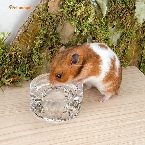 Niteangel Hamster Feeding & Water Bowl: - Mount Fuji Series Glass Drinking Bowls for Dwarf Syrian Hamsters Gerbils Mice Rats or Other Similar-Sized Small Pets (White, 50 ml) thumbnail 4