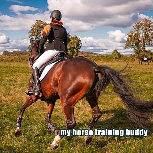 4pcs Horse Training Flag, 5.25 Feet Red Telescopic Flag Poles with 17.1x17.1inch Retractable Horse Training Equipment Horse Flag (Four Colors) thumbnail 6
