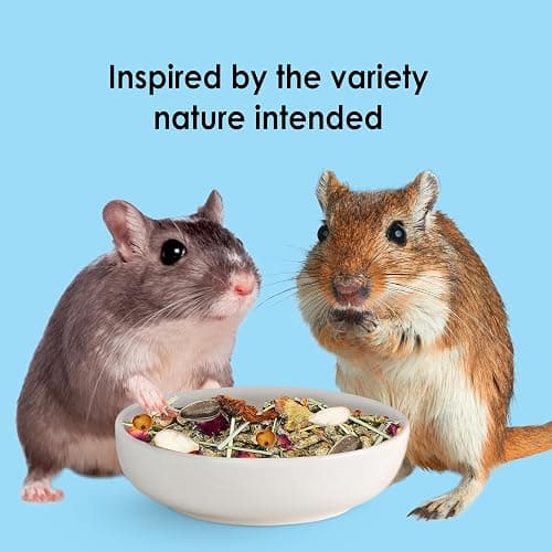 Kaytee Food from The Wild Natural Pet Hamster Food, 2 Pound thumbnail 7