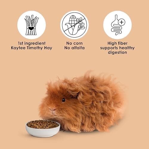 Kaytee Timothy Complete Guinea Pig Food with Timothy Hay, 9.5 Pounds | Supports digestion. Pelleted food for guinea pigs. guinea pig pellets, vitamin C, probiotics thumbnail 7