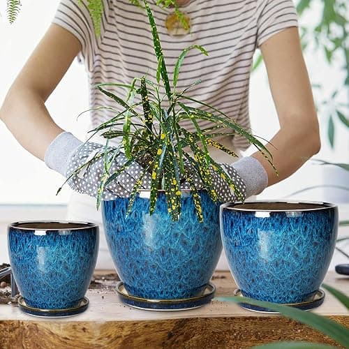 EPFamily Plant Pots Indoor, Ceramic Planters Pots with Drainage Holes and Saucers, 10+8+6 Inch, Set of 3, Round Large Flower Pots for Indoor Outdoor Plants, Blue thumbnail 6