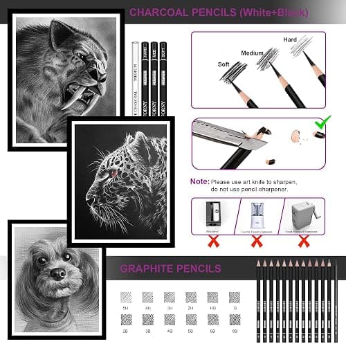 HIFORNY 42 PCS Drawing Set, Sketching Kit with Graphite & Charcoal Pencils, Blending Tools, Erasers & Accessories, Portable Zippered Travel Case for Artists & Beginners thumbnail 4