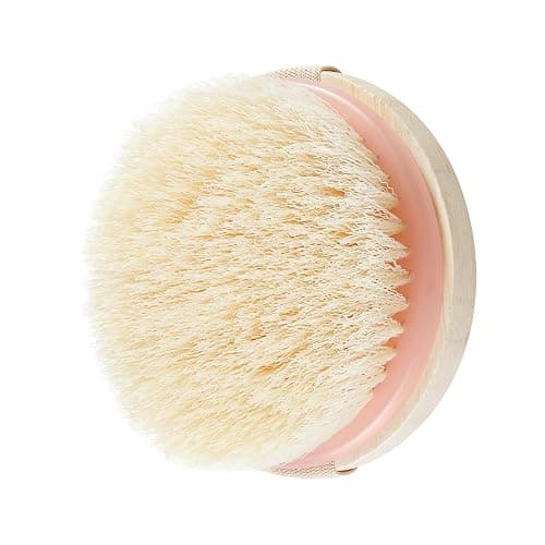 EcoTools Dry Body Brush, Cruelty-Free Bristles Exfoliate & Smooth Skin, Dry Brushing Removes Flaky Skin, May Help Improve Circulation & Tone, Eco-Friendly Skincare Tool, Vegan & Cruelty-Free, 1 Count thumbnail 11