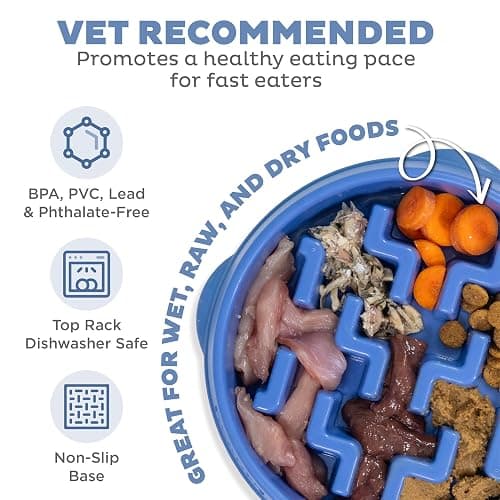 Outward Hound Medium Slow Feeder Bowl, Puzzle Maze for Fast Eaters, Small to Medium Dogs, Helps Prevent Bloat & Aid Digestion, Holds 2 Cups Wet or Dry Food, Non-Slip, Made Without BPA, Blue thumbnail 3